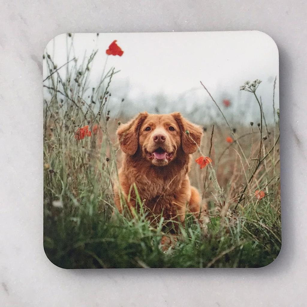 Personalized Coasters, Set of 4 and 6, Add your own photos to make a great gift for any occasion